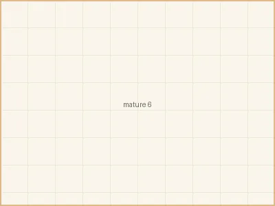 熟女人妻 - 深夜的日记本 - 写给自己的情书